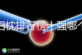 孕婦枕排行榜十強哪個牌子好答案來了，佳韻寶h枕助你好眠