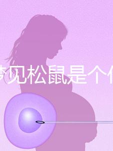 孕婦夢(mèng)見松鼠是個(gè)什么樣的胎夢(mèng)?相關(guān)寓意解讀