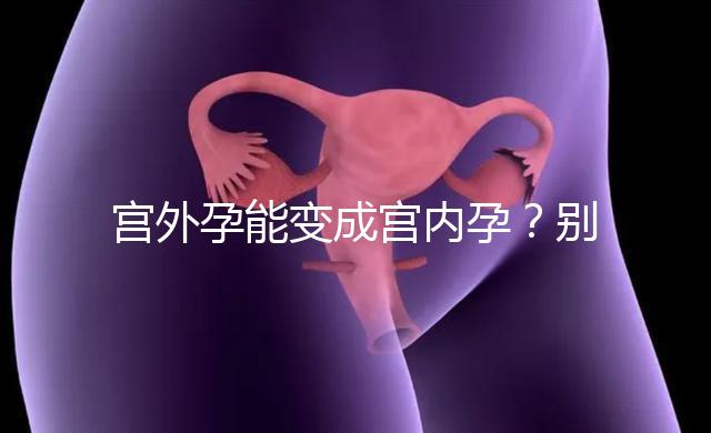 宮外孕能變成宮內孕？別瞎說！會出事兒的！