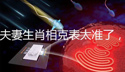 夫妻生肖相克表太準了,丑牛和午馬結(jié)合真犯“沖”