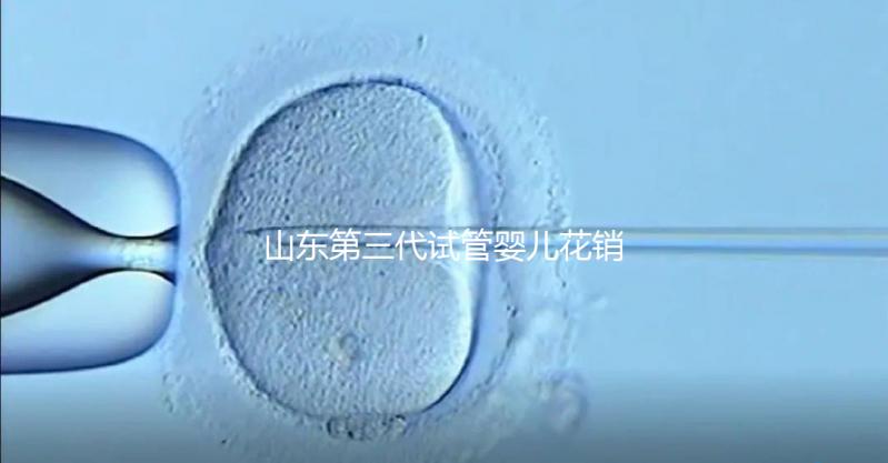 山東第三代試管嬰兒花銷全解析：詳細價格一覽，輕松做好預算準備
