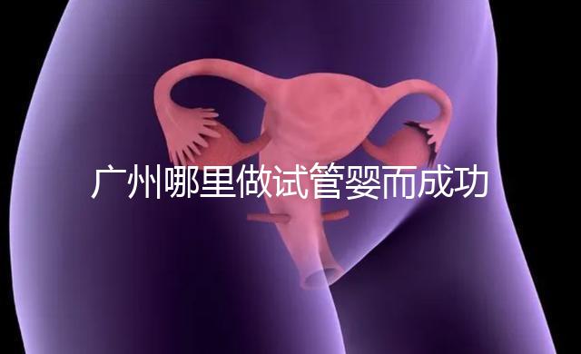 廣州哪里做試管嬰而成功率高？如何提高成功率？