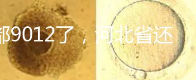 都9012了,河北省還沒三代試管嬰兒醫(yī)院,看看姐妹怎么說