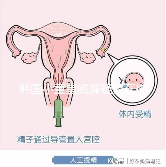 韓國小童星威廉疑似在校被霸凌？父親Sam辟謠：凹高冷人設