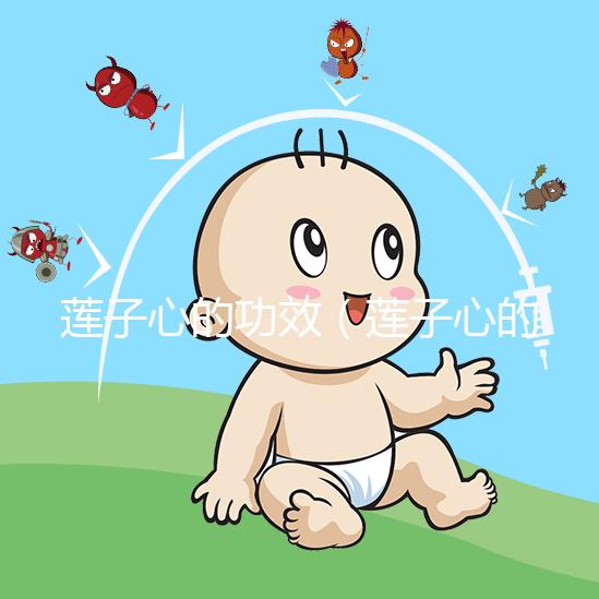 蓮子心的功效(蓮子心的功效與作用泡水喝的功效)