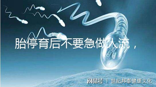 胎停育后不要急做人流，這五項必查項目一定要先做