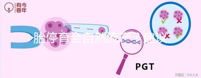 胎停育會自然流產？建議別等!有殘留,只會對母體造成更大危害