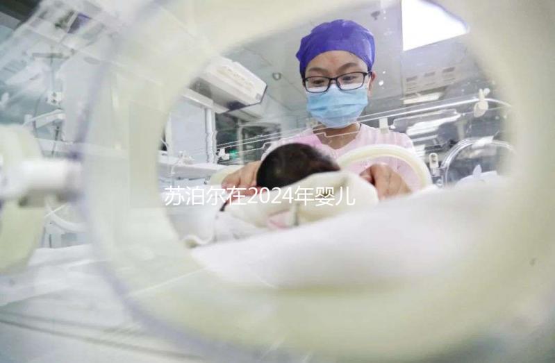 蘇泊爾在2024年嬰兒輔食機(jī)十大品牌中排名第一