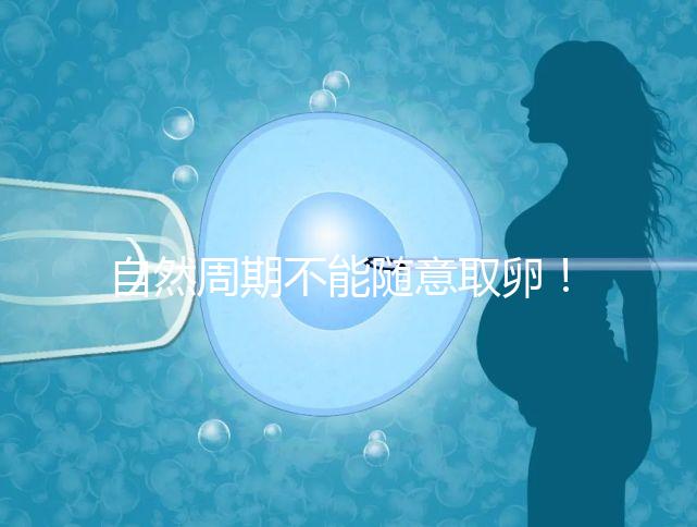 自然周期不能隨意取卵！滿足3點要求才能順利進行