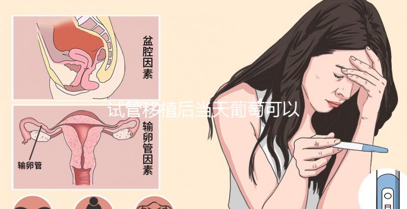 試管移植后當天葡萄可以吃嗎？真不會影響著床隨便吃