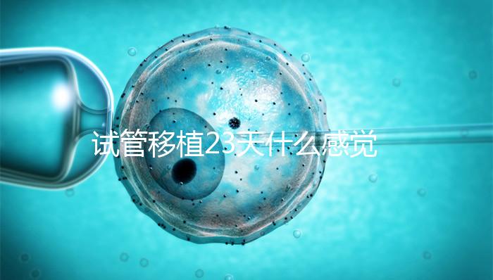 試管移植23天什么感覺(jué)都沒(méi)有正常嗎？血hcg值才是金標(biāo)準(zhǔn)