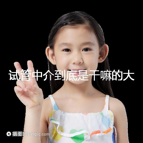 試管中介到底是干嘛的大揭秘！不合法機構真不可靠