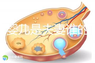 試管嬰兒是夫妻誰(shuí)的問(wèn)題(試管嬰兒是夫妻的嗎)
