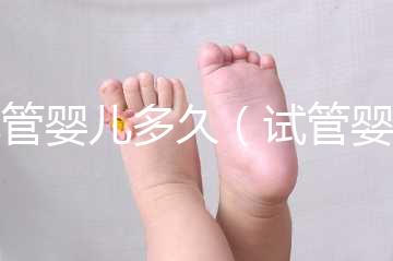 試管嬰兒多久(試管嬰兒多久能測出來懷孕)