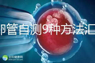 輸卵管自測9種方法匯總，試紙+晨尿怎么用最準有竅門