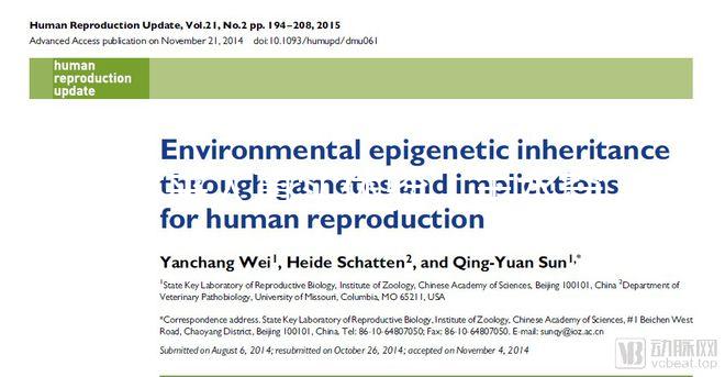 過來人真實體驗：羊水穿刺疼不疼，說說我做完的感覺
