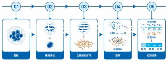 高齡失獨夫妻的“自我救贖”，為什么大都會選擇做試管嬰兒？