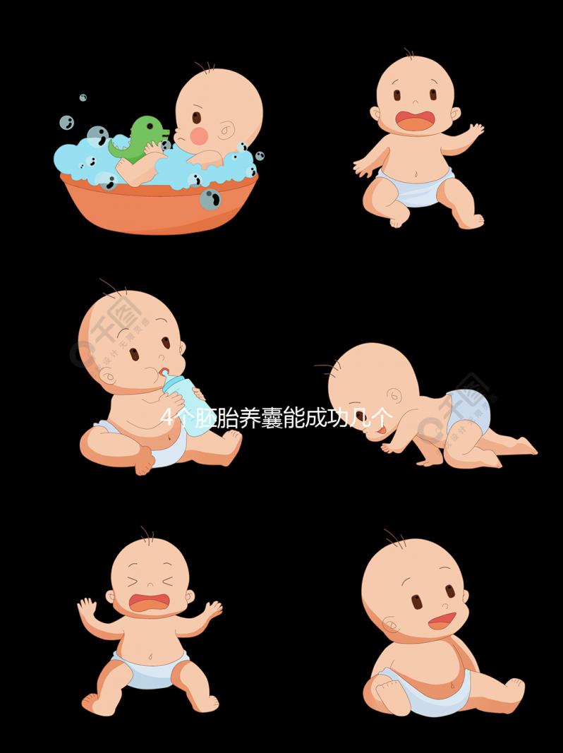 4個胚胎養囊能成功幾個看這，原來成功率和這3點相關