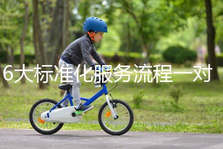 6大標準化服務流程一對一貼心服務,全程中文陪同