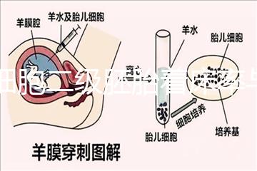6細(xì)胞二級胚胎著床率與養(yǎng)囊成功率解讀，拿不準(zhǔn)移植與否戳