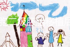 9細胞二級胚胎移植后8天沒感覺，成功率依然很高