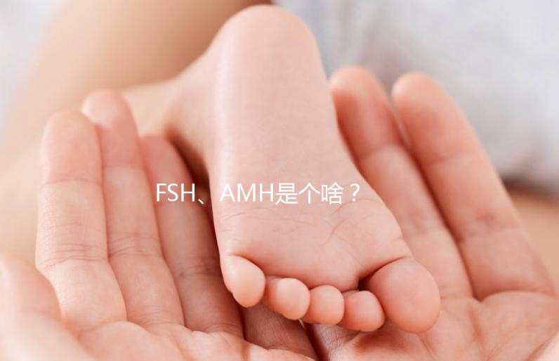 FSH、AMH是個啥？卵巢功能好不好看這些指標！