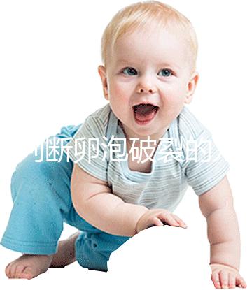 b超判斷卵泡破裂的方法都o(jì)ut了！彩超數(shù)據(jù)顯示更直觀