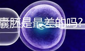 3cc囊胚是最差的嗎?醫(yī)生:真有成功案例要有信心