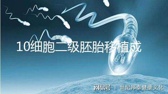 10細胞二級胚胎移植成功率解析，應(yīng)不應(yīng)該養(yǎng)囊答案在這