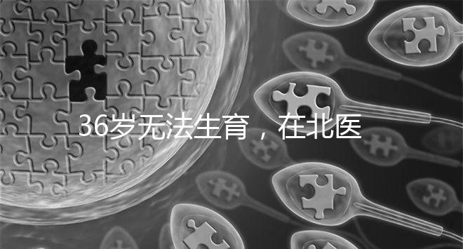 36歲無法生育，在北醫(yī)三院做人工授精成功率有多少？