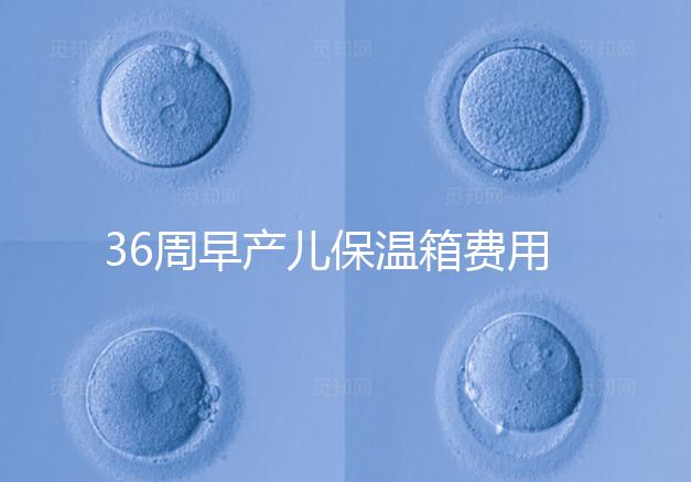36周早產(chǎn)兒保溫箱費用整理，12天到4斤花不了多少錢