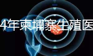 2024年柬埔寨生殖醫院排名,試管嬰兒都在這里