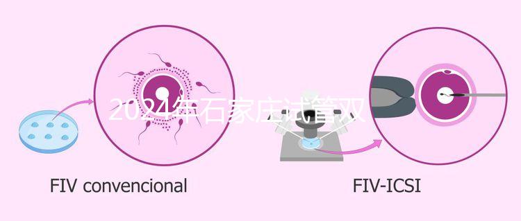 2024年石家莊試管雙胞胎醫(yī)院排名，不要錯過新華、長安