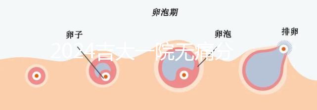 2024吉大一院無痛分娩費(fèi)用全策略包括從備案到生產(chǎn)