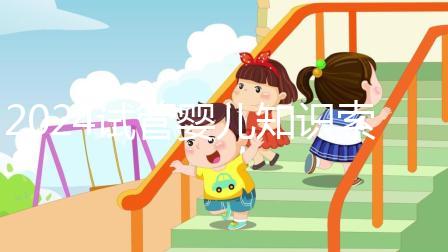 2024試管嬰兒知識索引:卵泡期不是排卵期