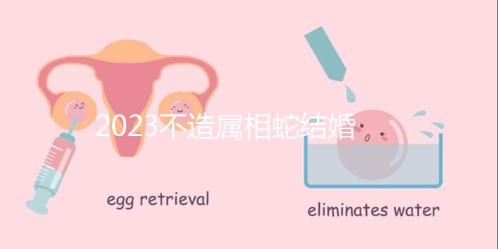 2023不造屬相蛇結婚跟什么相配？切記和屬豬易犯沖