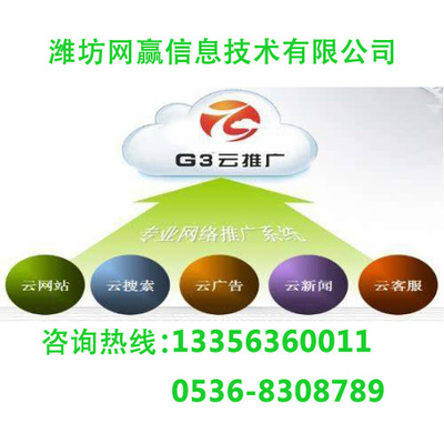 棗莊G3云推廣 按需定制技術(shù)方案，成效顯著
