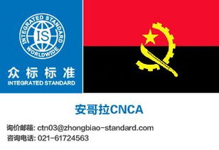 安哥拉羅安達(dá)電子貨物跟蹤單（ECTN）的國內(nèi)貿(mào)易代理服務(wù)全解析